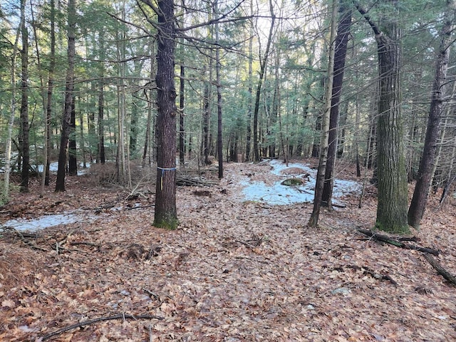 0 W Main St, Hillsborough NH, 03244 land for sale