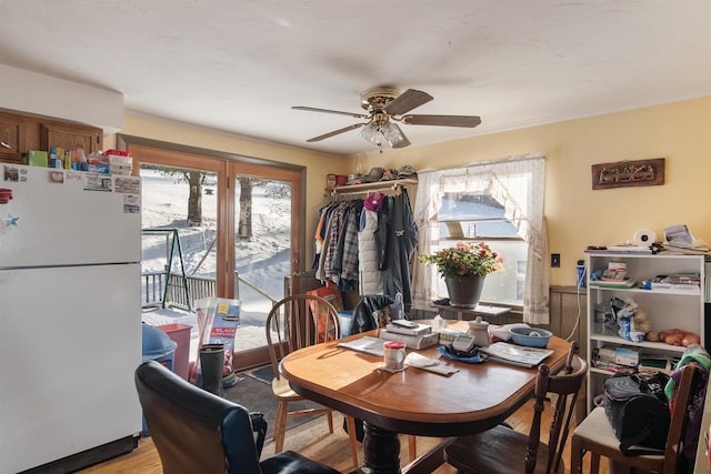 dining room featuring ceiling fan and wood-type flooring