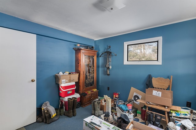 interior space featuring carpet