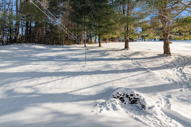 view of yard covered in snow