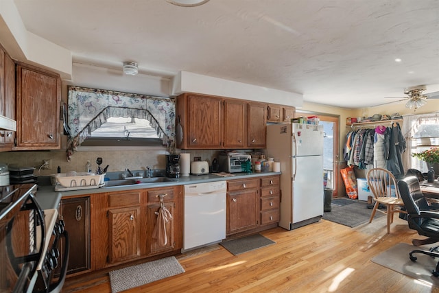 kitchen with white appliances, backsplash, sink, ceiling fan, and light hardwood / wood-style floors