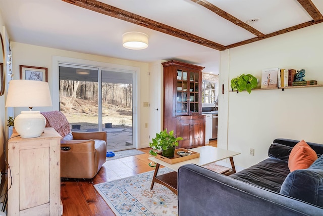 living room featuring dark hardwood / wood-style floors