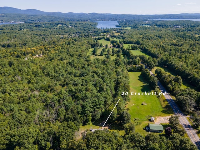 drone / aerial view with a mountain view