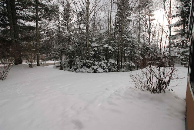 view of snowy yard