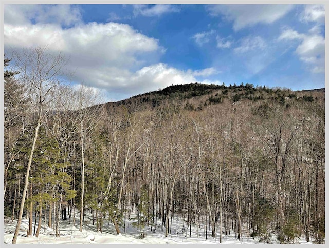 view of mountain feature