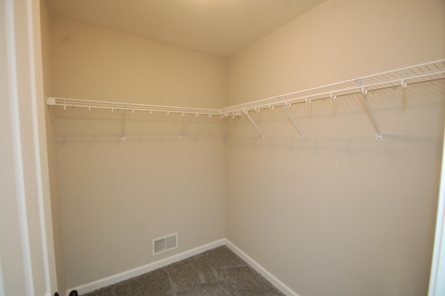 walk in closet featuring carpet flooring