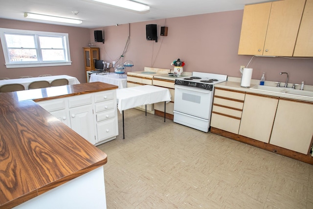 kitchen with sink and white stove