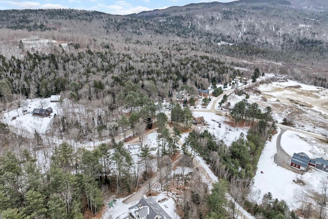 snowy aerial view with a mountain view