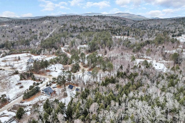 snowy aerial view with a mountain view