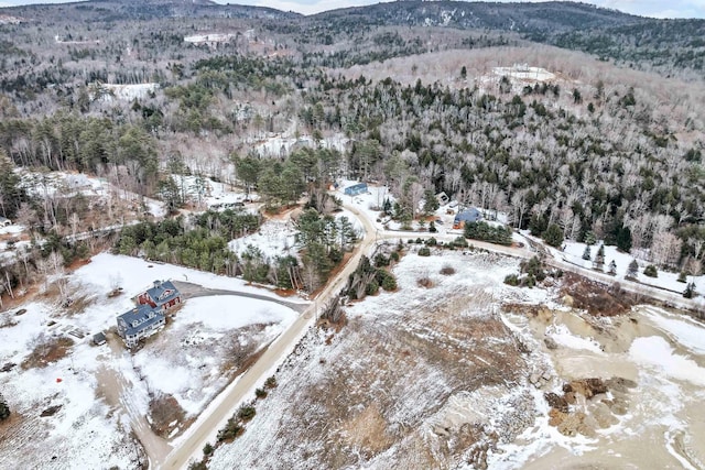 snowy aerial view with a mountain view