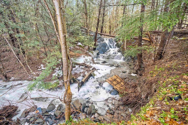 view of local wilderness