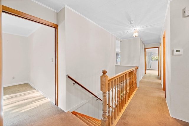 corridor with ornamental molding and light carpet