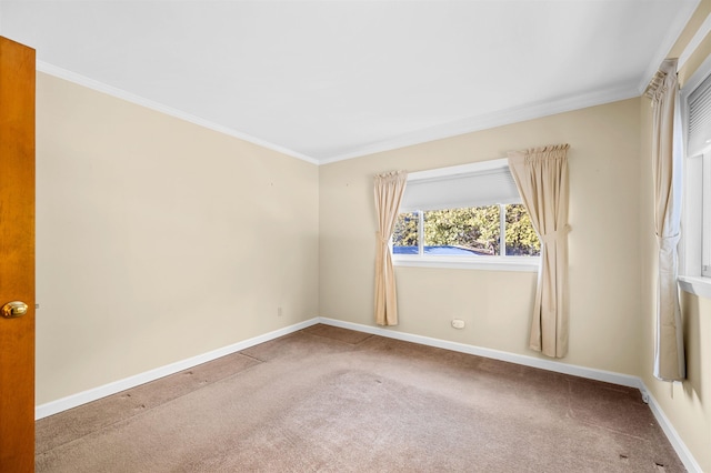 spare room featuring carpet flooring and crown molding