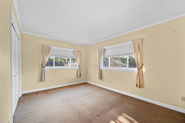 carpeted empty room featuring crown molding