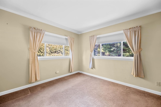 carpeted empty room featuring a healthy amount of sunlight and crown molding