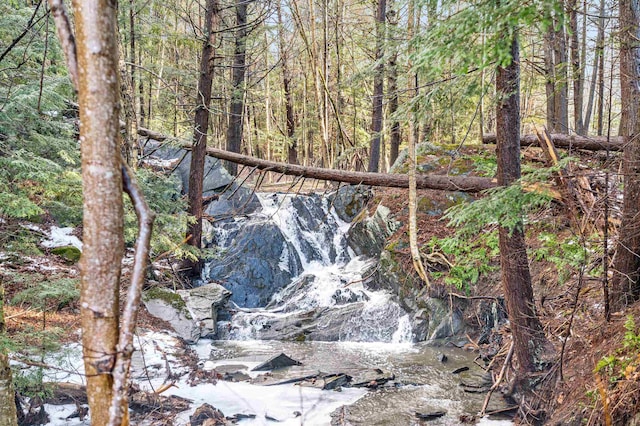 view of local wilderness