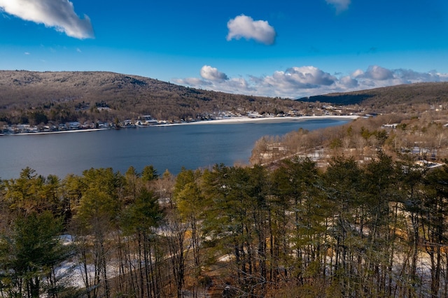 property view of water featuring a mountain view