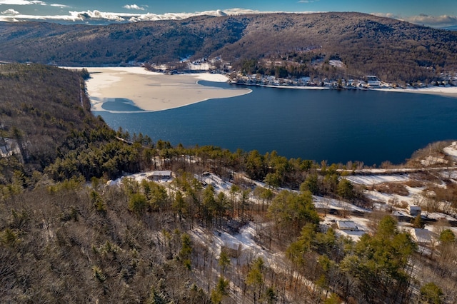 birds eye view of property featuring a water and mountain view