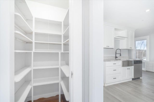 pantry with sink