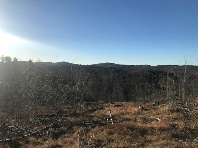 MAP6LOT96-2 Granite Lake Rd, Nelson NH, 03457 land for sale