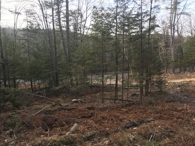 Listing photo 3 for MAP6LOT96-2 Granite Lake Rd, Nelson NH 03457