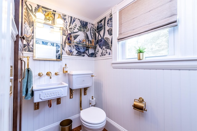 bathroom with wood walls, toilet, ornamental molding, and sink