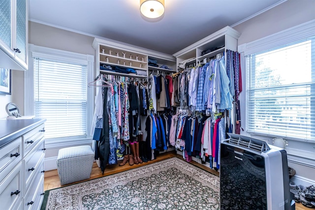 view of spacious closet