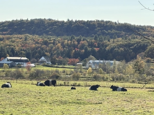 Listing photo 2 for 00 Middle Rd, Hancock NH 03449