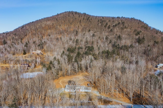 view of mountain feature