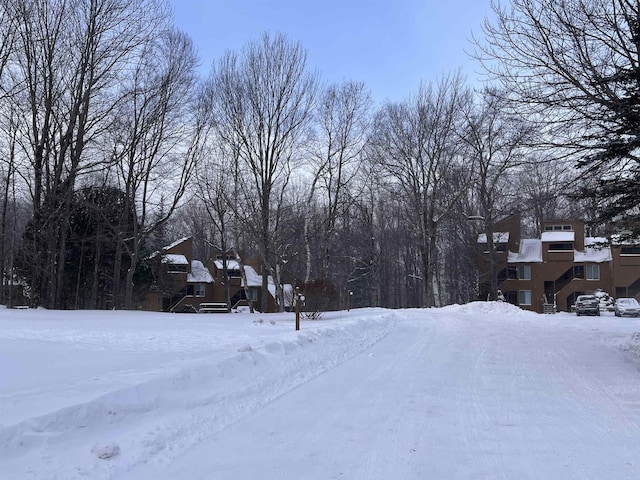 view of yard covered in snow