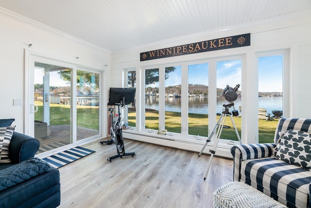 sunroom featuring a healthy amount of sunlight and a baseboard heating unit