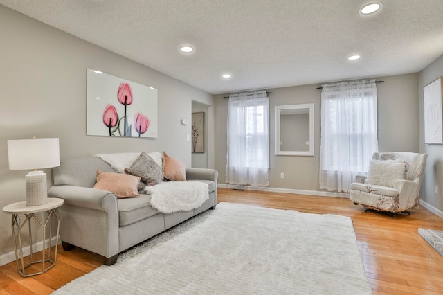 living room featuring hardwood / wood-style floors and a textured ceiling