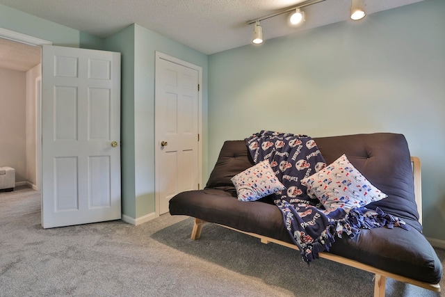 living room with carpet, a textured ceiling, and rail lighting