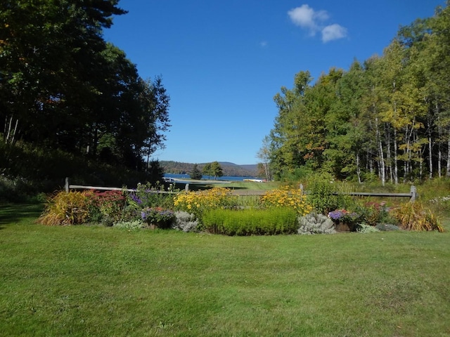 view of yard with a mountain view