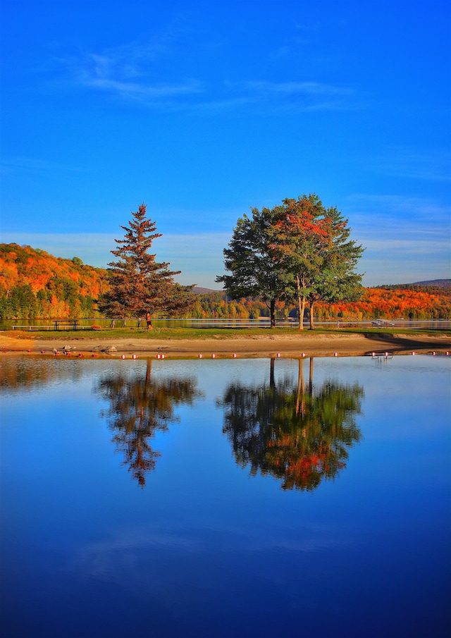 water view featuring a mountain view