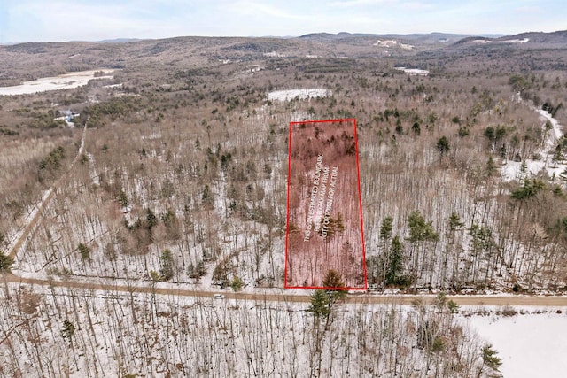 0 Phineas Graves Rd, Tuftonboro NH, 03816 land for sale