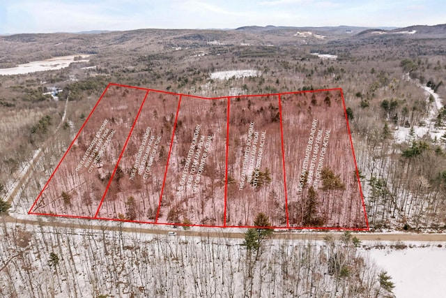 Listing photo 2 for 0 Phineas Graves Rd, Tuftonboro NH 03816