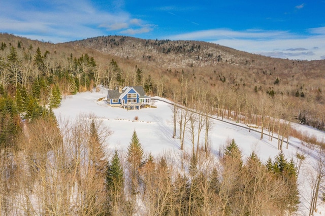 43 Upton Rd, Dover, VT 05356 - view of subject property with a mountain backdrop and a heavily wooded area