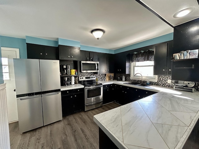 kitchen featuring stainless steel appliances, dark hardwood / wood-style floors, and sink