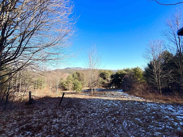 view of local wilderness