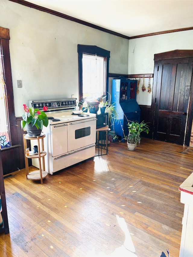 kitchen featuring white electric range and crown molding