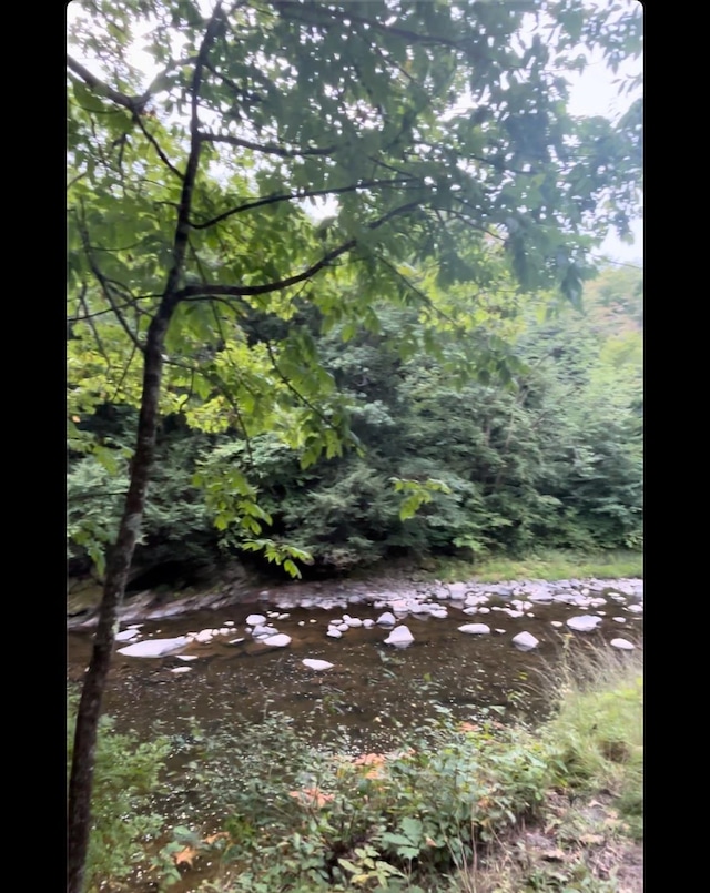 view of local wilderness