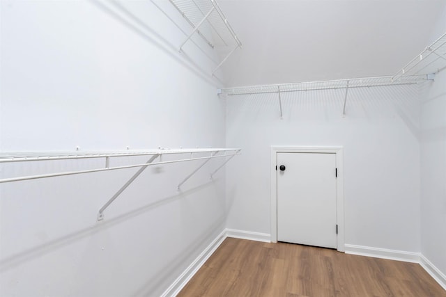 walk in closet featuring hardwood / wood-style flooring