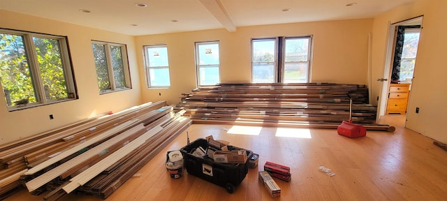 interior space featuring plenty of natural light, beam ceiling, and light wood-type flooring