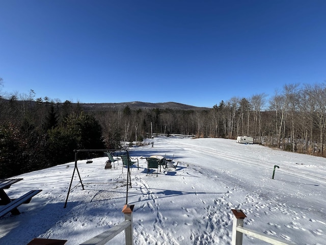 view of snowy yard