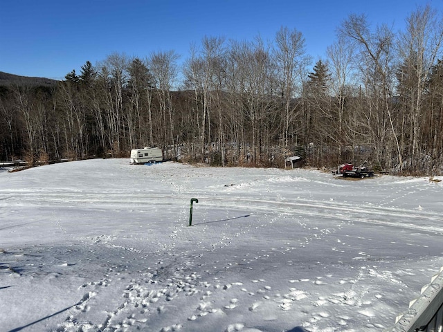 view of yard layered in snow