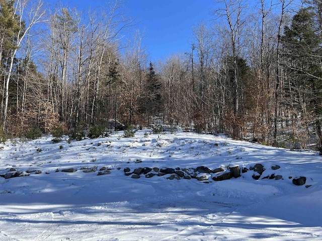 view of snowy yard