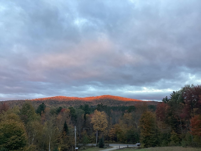 view of mountain feature