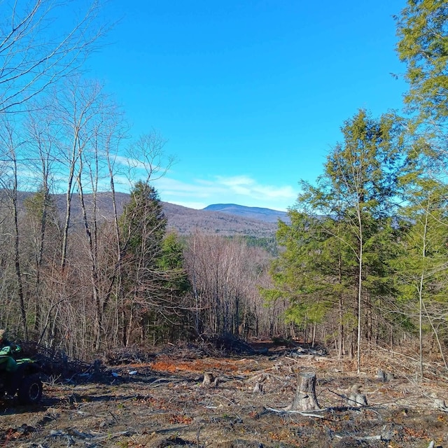 view of mountain feature