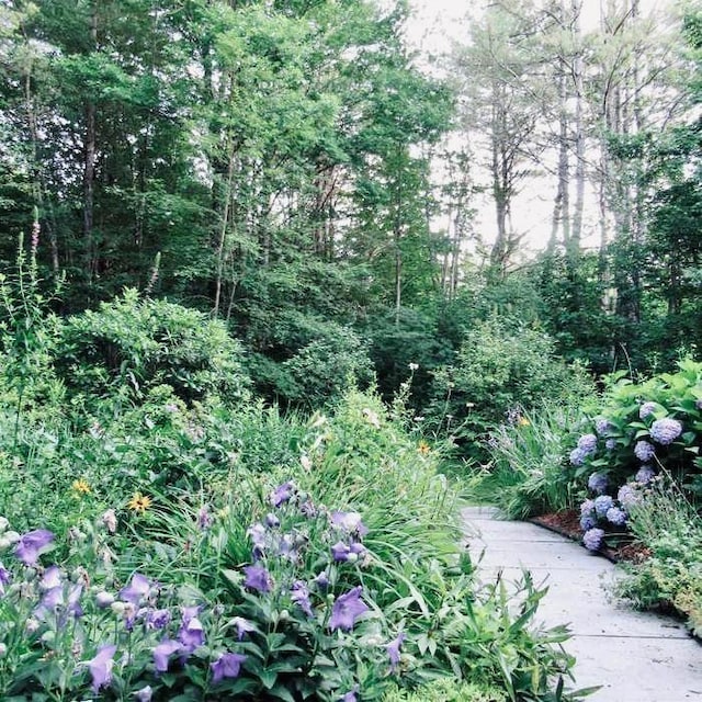 view of landscape